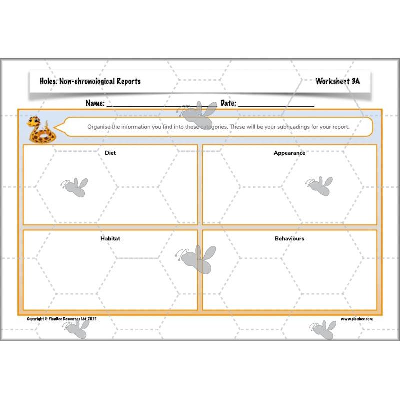 Holes | Non-chronological Reports Year 5 | PlanBee