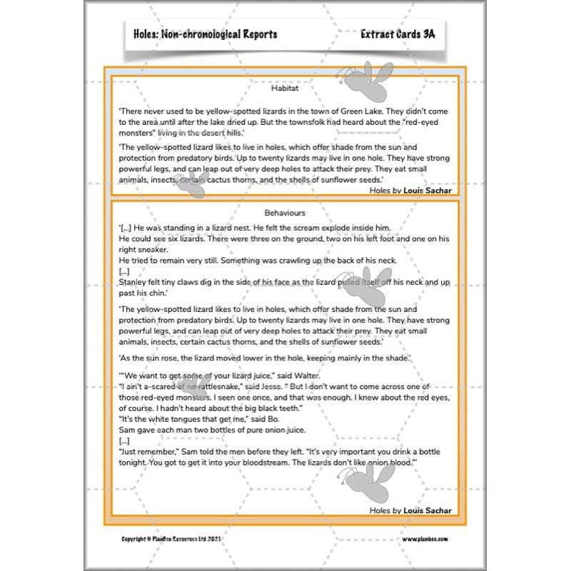 Holes | Non-chronological Reports Year 5 | PlanBee