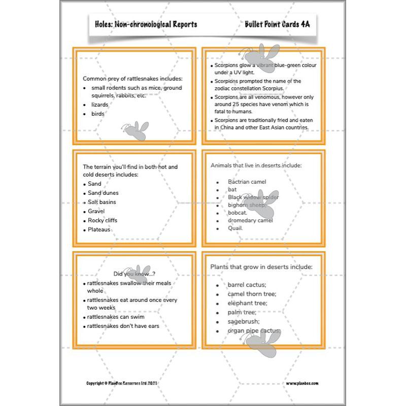 Holes | Non-chronological Reports Year 5 | PlanBee