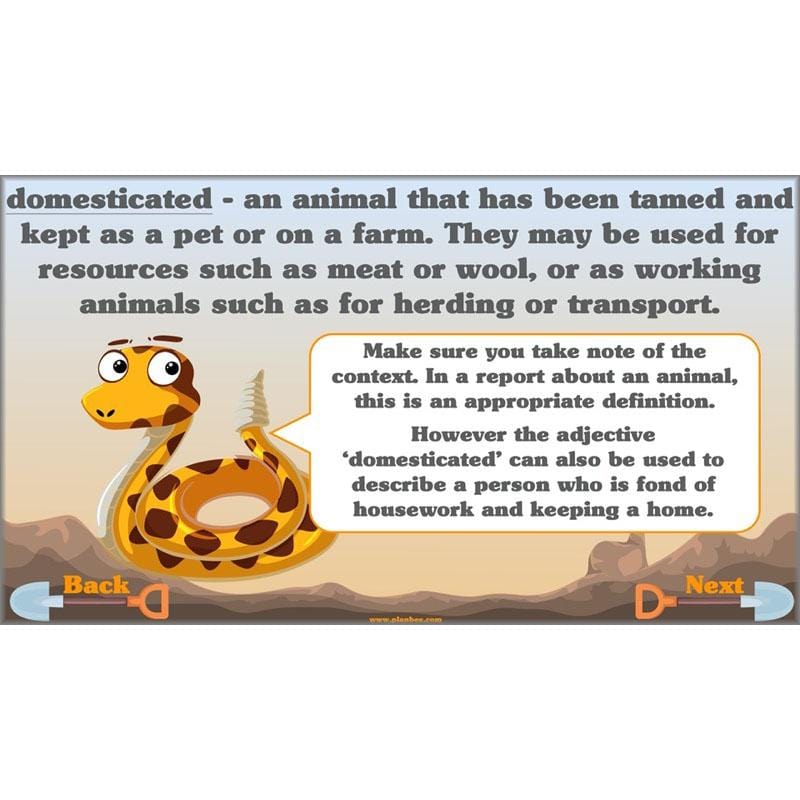 Holes | Non-chronological Reports Year 5 | PlanBee