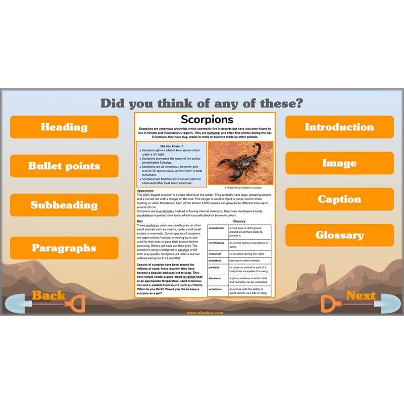 Holes | Non-chronological Reports Year 5 | PlanBee