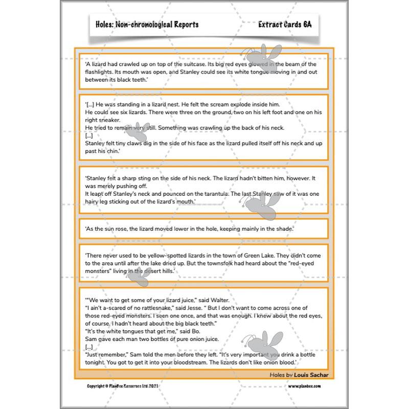 Holes | Non-chronological Reports Year 5 | PlanBee