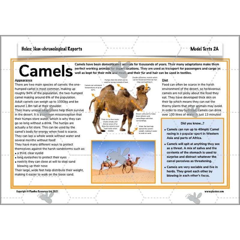 Holes | Non-chronological Reports Year 5 | PlanBee