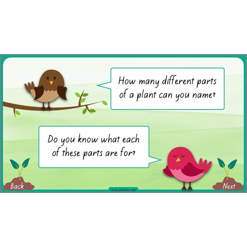 PlanBee Plants Year 3 Planning Pack | Year 3 Science Plants Lessons