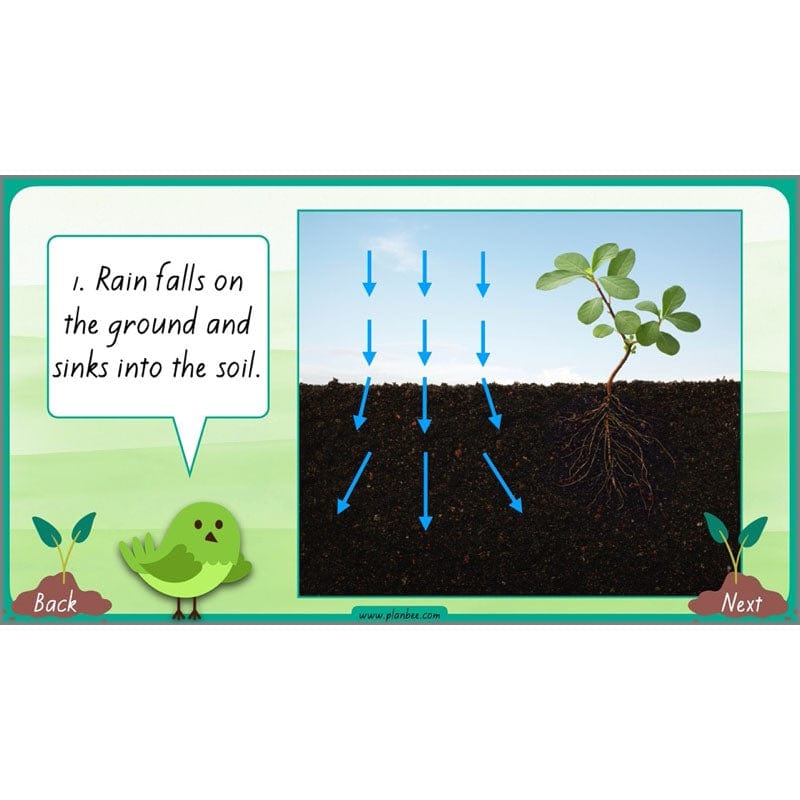 PlanBee Plants Year 3 Planning Pack | Year 3 Science Plants Lessons