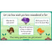 PlanBee Plants Year 3 Planning Pack | Year 3 Science Plants Lessons