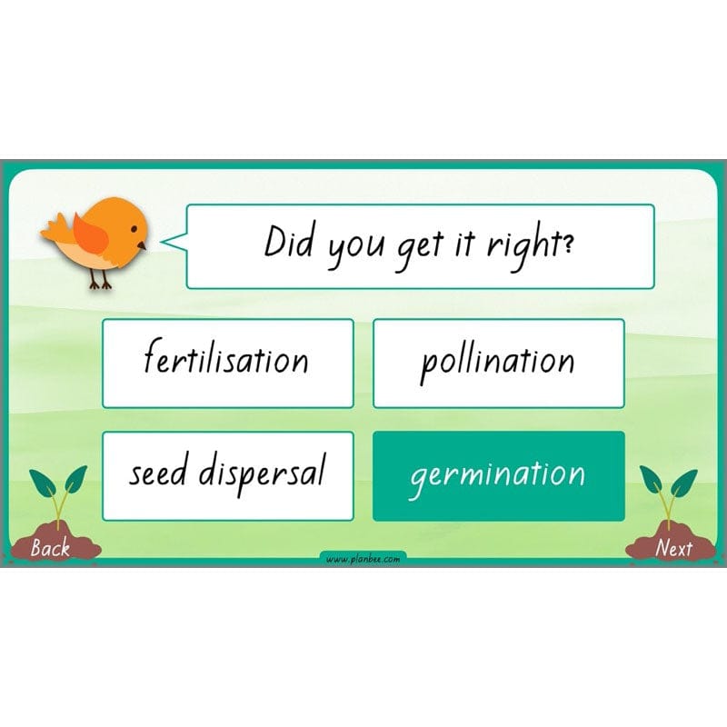 PlanBee Plants Year 3 Planning Pack | Year 3 Science Plants Lessons