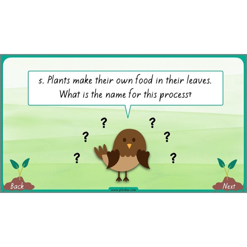 PlanBee Plants Year 3 Planning Pack | Year 3 Science Plants Lessons
