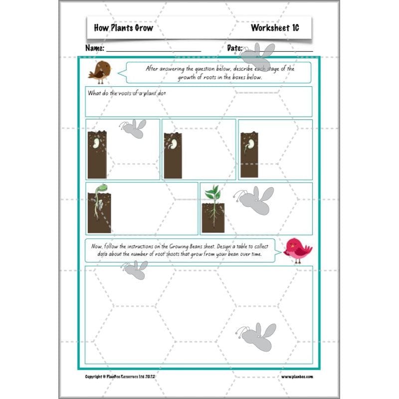 PlanBee Plants Year 3 Planning Pack | Year 3 Science Plants Lessons