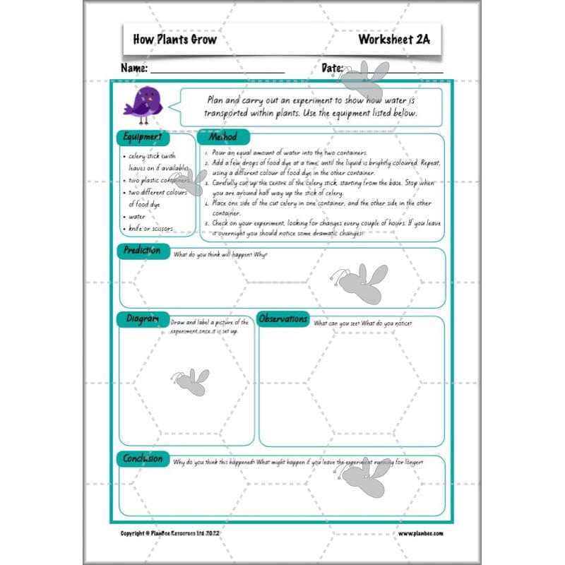 PlanBee Plants Year 3 Planning Pack | Year 3 Science Plants Lessons