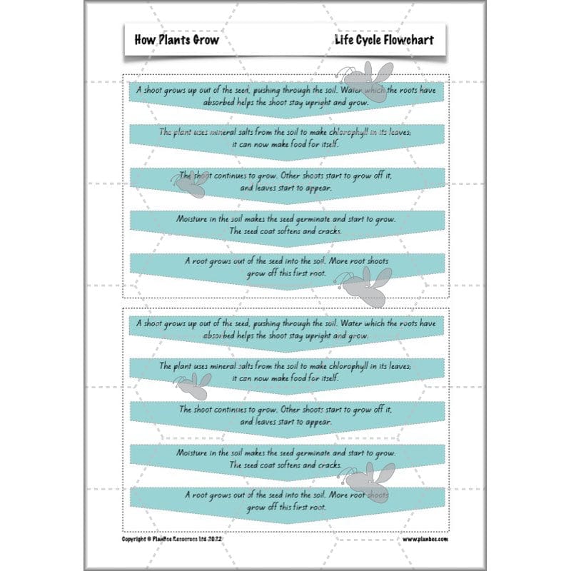 PlanBee Plants Year 3 Planning Pack | Year 3 Science Plants Lessons
