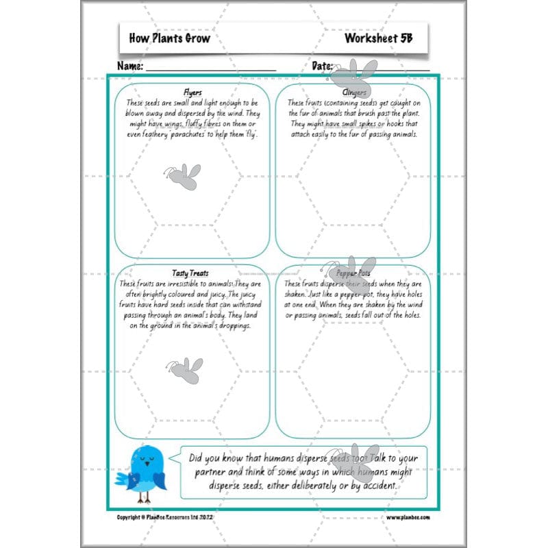 PlanBee Plants Year 3 Planning Pack | Year 3 Science Plants Lessons