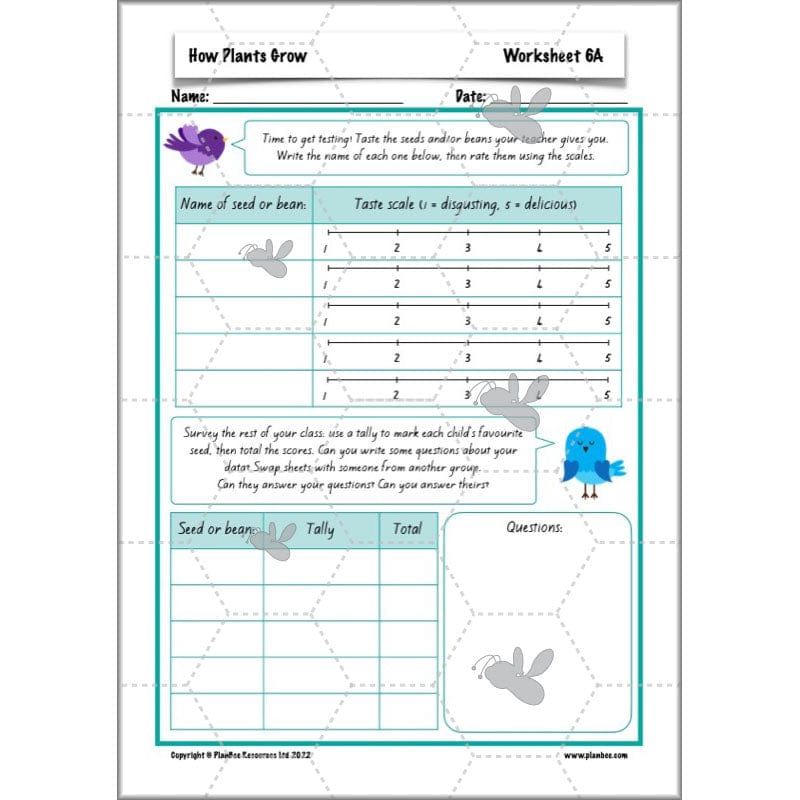 PlanBee Plants Year 3 Planning Pack | Year 3 Science Plants Lessons