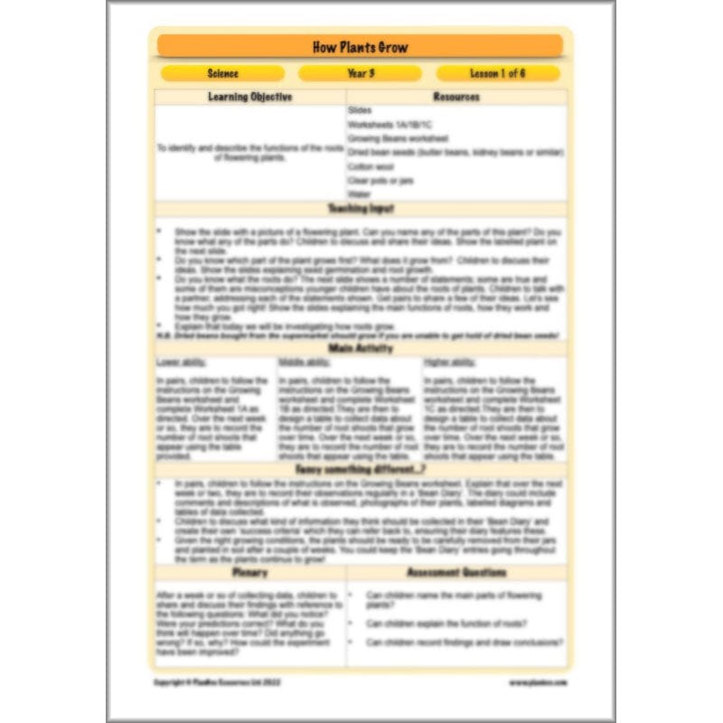 PlanBee Plants Year 3 Planning Pack | Year 3 Science Plants Lessons