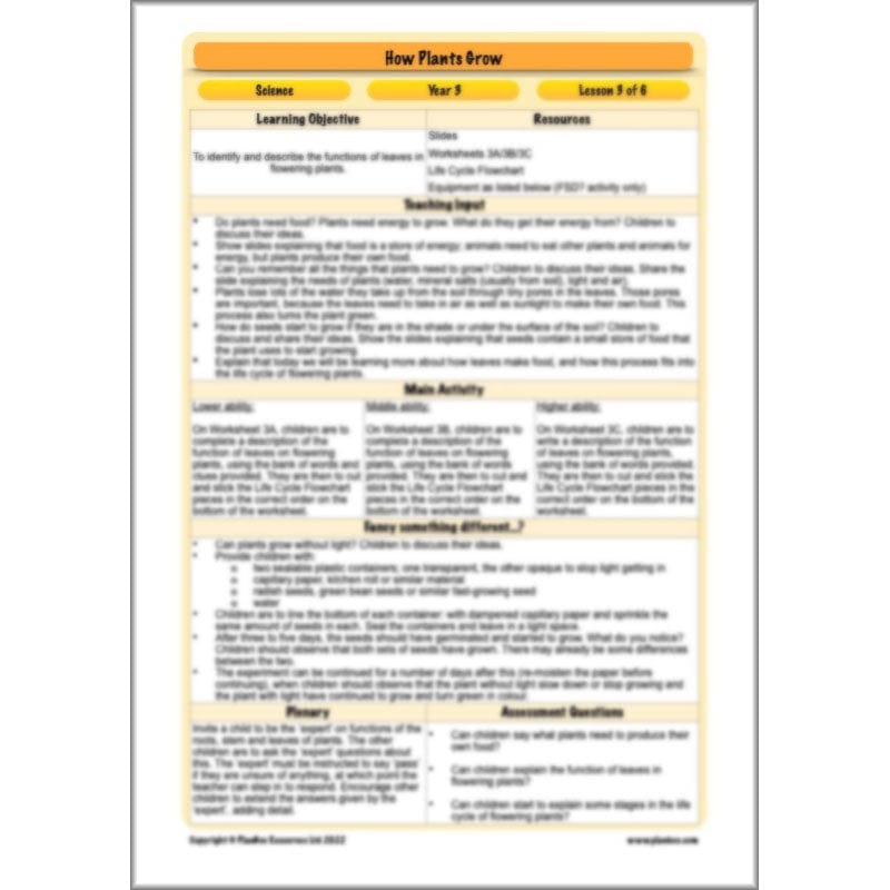 PlanBee Plants Year 3 Planning Pack | Year 3 Science Plants Lessons