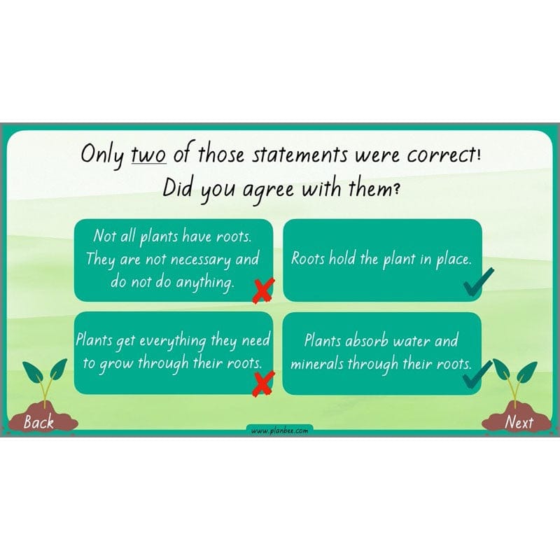 PlanBee Plants Year 3 Planning Pack | Year 3 Science Plants Lessons