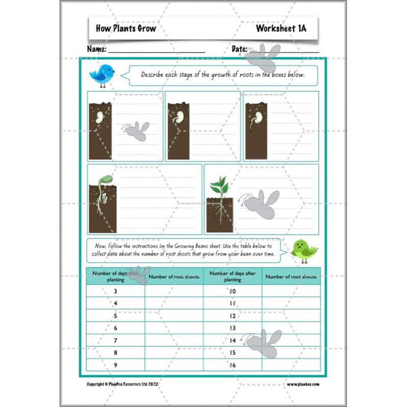 Plants Year 3 Planning Pack | Year 3 Science Plants Lessons — PlanBee