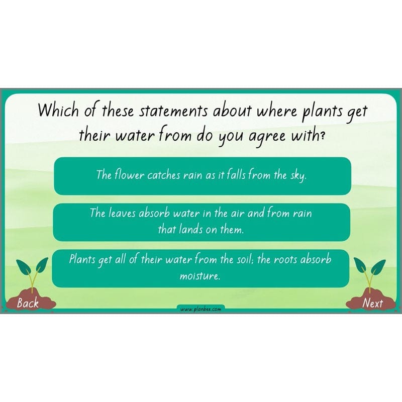 PlanBee Plants Year 3 Planning Pack | Year 3 Science Plants Lessons