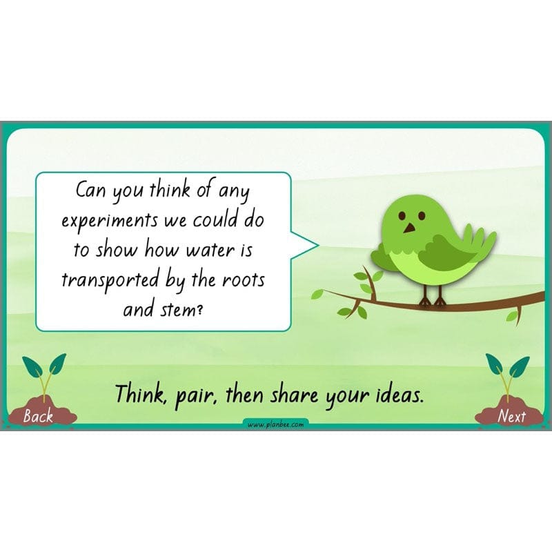 PlanBee Plants Year 3 Planning Pack | Year 3 Science Plants Lessons