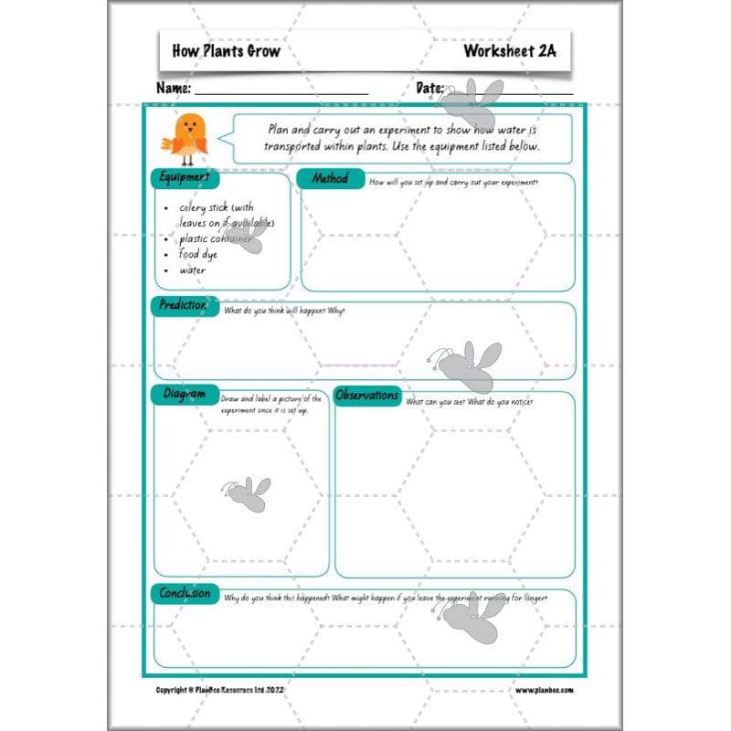 PlanBee Plants Year 3 Planning Pack | Year 3 Science Plants Lessons