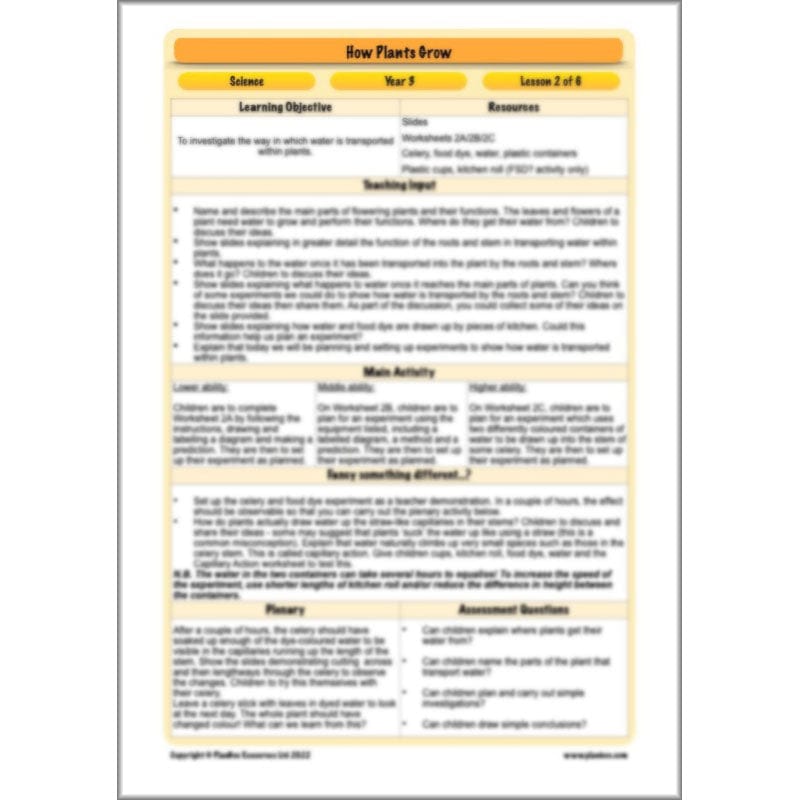 PlanBee Plants Year 3 Planning Pack | Year 3 Science Plants Lessons