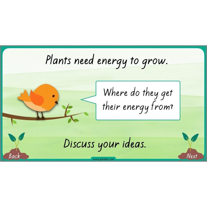 PlanBee Plants Year 3 Planning Pack | Year 3 Science Plants Lessons