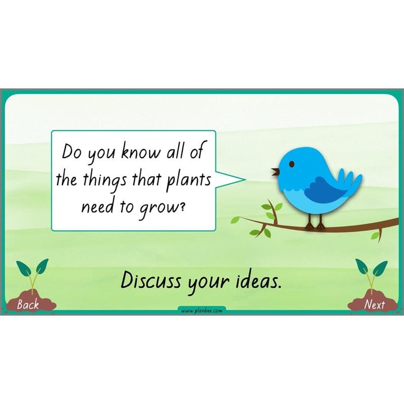 PlanBee Plants Year 3 Planning Pack | Year 3 Science Plants Lessons