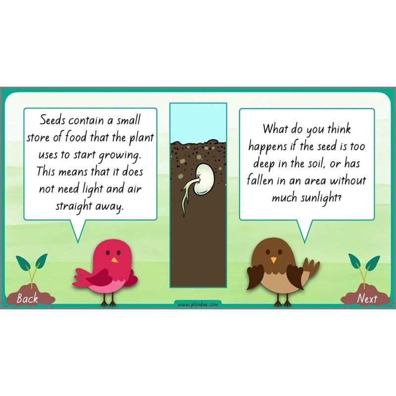 PlanBee Plants Year 3 Planning Pack | Year 3 Science Plants Lessons