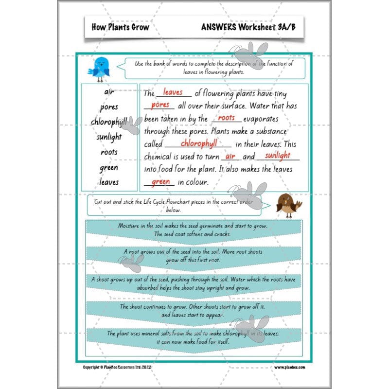 PlanBee Plants Year 3 Planning Pack | Year 3 Science Plants Lessons