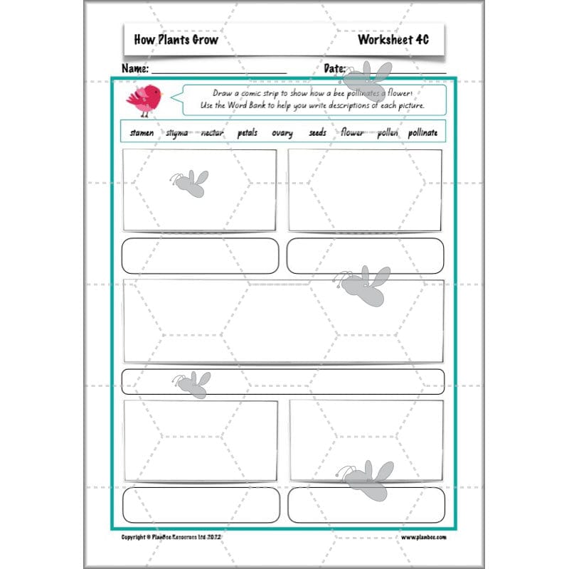 PlanBee Plants Year 3 Planning Pack | Year 3 Science Plants Lessons