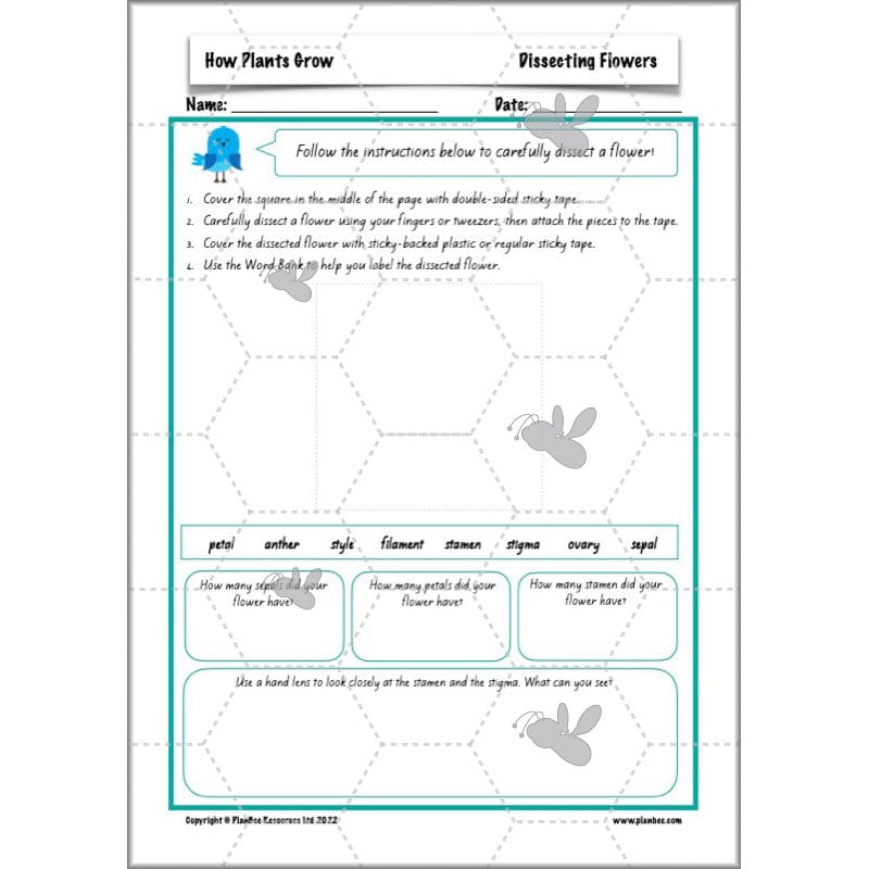 PlanBee Plants Year 3 Planning Pack | Year 3 Science Plants Lessons