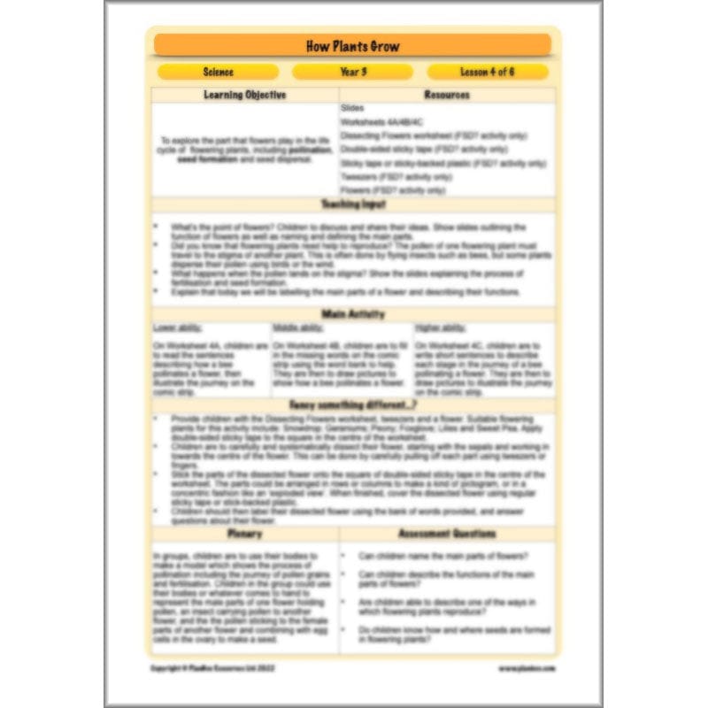 PlanBee Plants Year 3 Planning Pack | Year 3 Science Plants Lessons