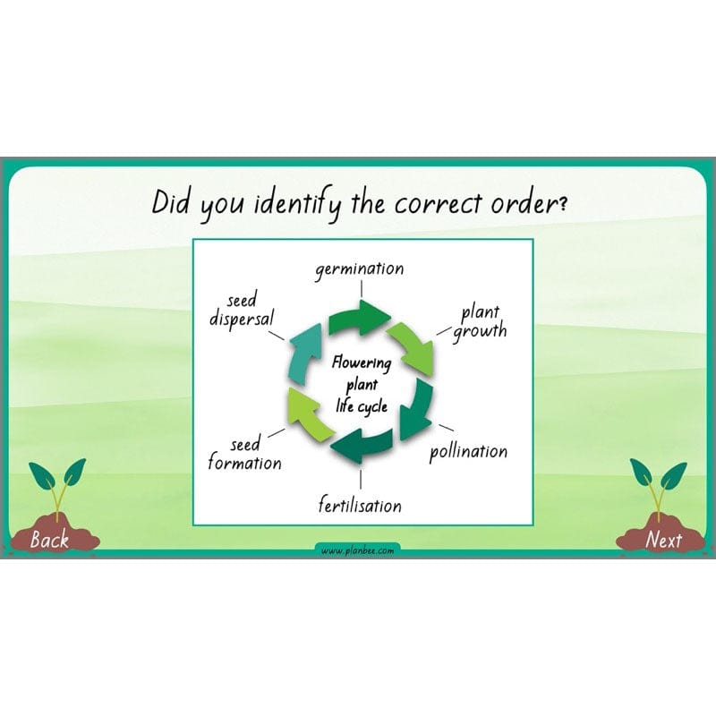 PlanBee Plants Year 3 Planning Pack | Year 3 Science Plants Lessons