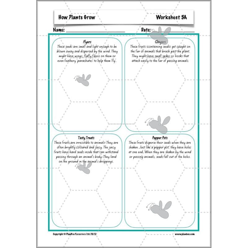 PlanBee Plants Year 3 Planning Pack | Year 3 Science Plants Lessons