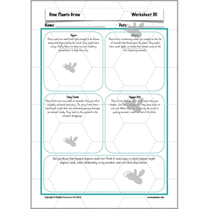 PlanBee Plants Year 3 Planning Pack | Year 3 Science Plants Lessons