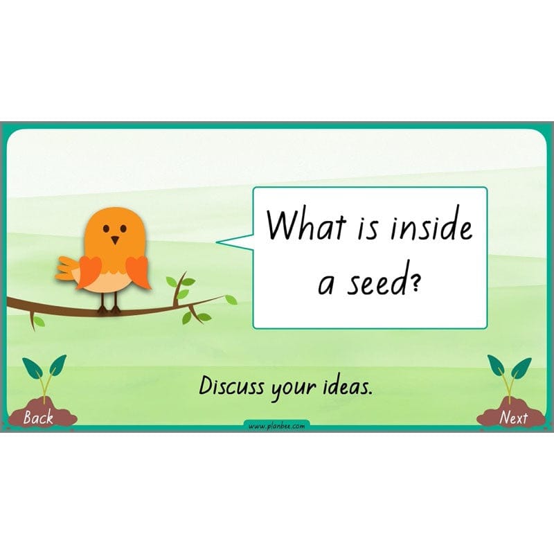 PlanBee Plants Year 3 Planning Pack | Year 3 Science Plants Lessons