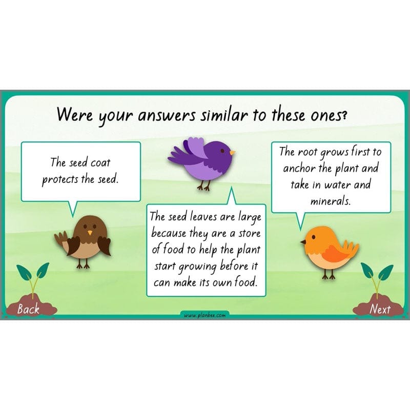 seed to plant lesson plan Plants Year 3 Planning Pack