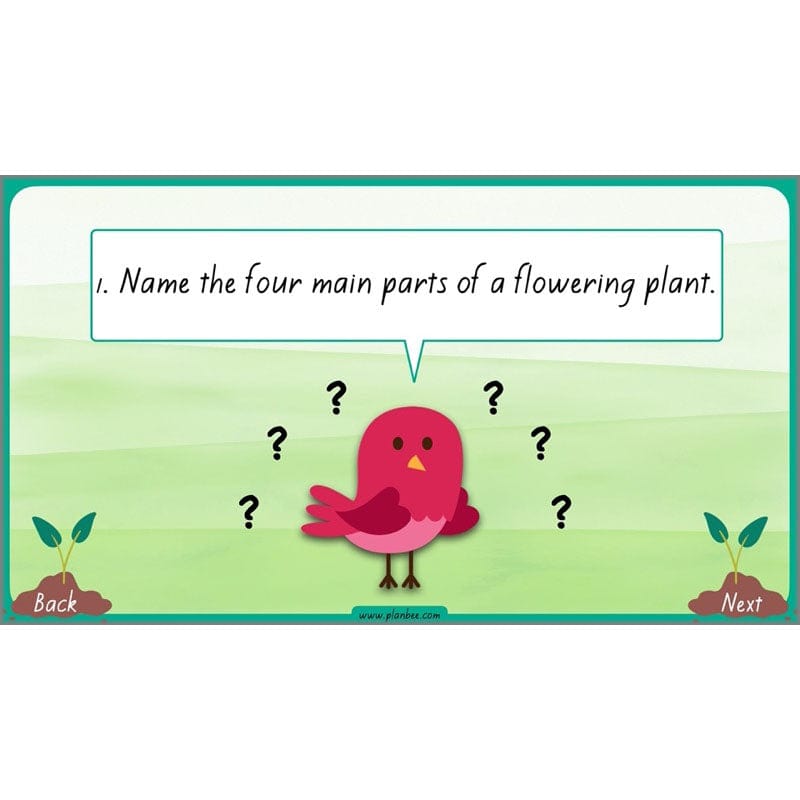 PlanBee Plants Year 3 Planning Pack | Year 3 Science Plants Lessons