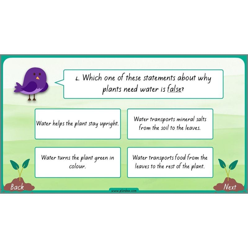 PlanBee Plants Year 3 Planning Pack | Year 3 Science Plants Lessons