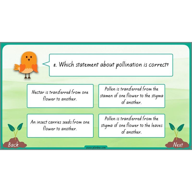 PlanBee Plants Year 3 Planning Pack | Year 3 Science Plants Lessons