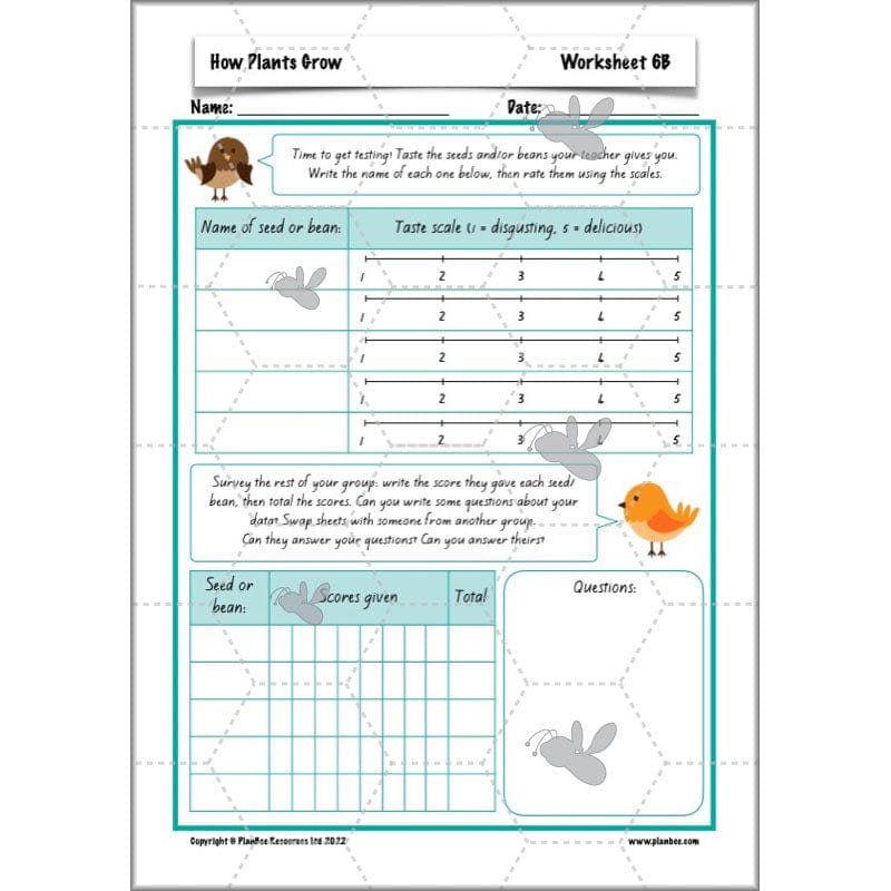 PlanBee Plants Year 3 Planning Pack | Year 3 Science Plants Lessons