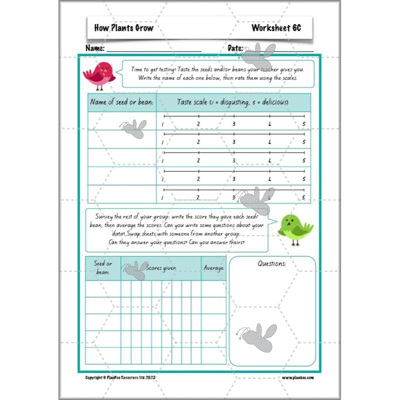 PlanBee Plants Year 3 Planning Pack | Year 3 Science Plants Lessons
