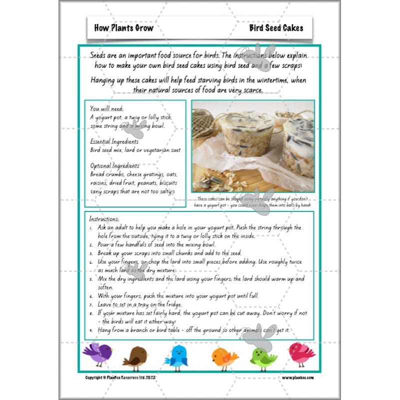 PlanBee Plants Year 3 Planning Pack | Year 3 Science Plants Lessons