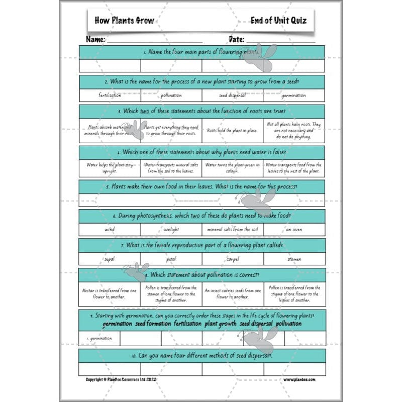 PlanBee Plants Year 3 Planning Pack | Year 3 Science Plants Lessons