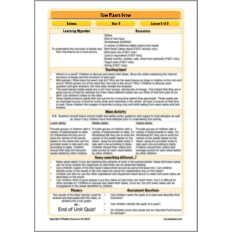 PlanBee Plants Year 3 Planning Pack | Year 3 Science Plants Lessons