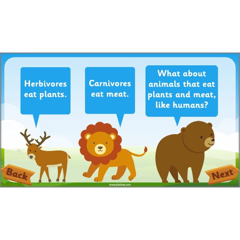 PlanBee Animals Year 1 | Science Lessons KS1 by PlanBee