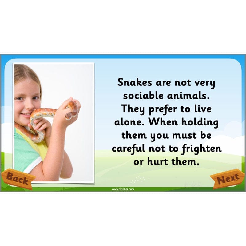 PlanBee Animals Year 1 | Science Lessons KS1 by PlanBee