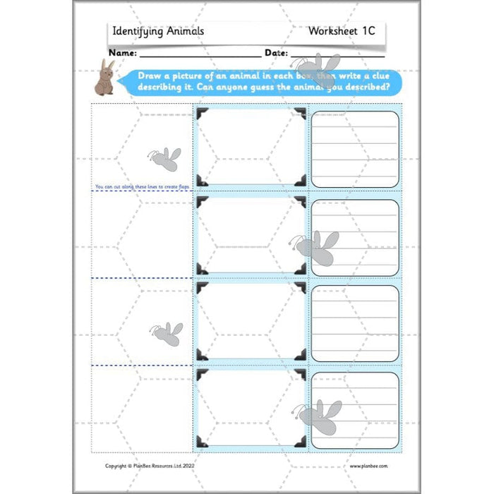 PlanBee Animals Year 1 | Science Lessons KS1 by PlanBee