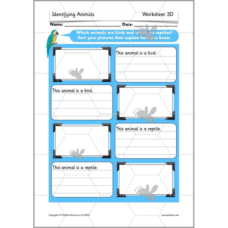 PlanBee Animals Year 1 | Science Lessons KS1 by PlanBee