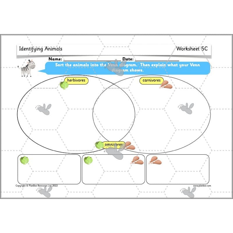 PlanBee Animals Year 1 | Science Lessons KS1 by PlanBee
